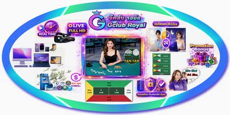 สมัคร กำถั่ว จีคลับ รอยัล ไลฟ์สดนับเม็ด ฟีลบ่อนจริง เล่นง่ายทุกที่